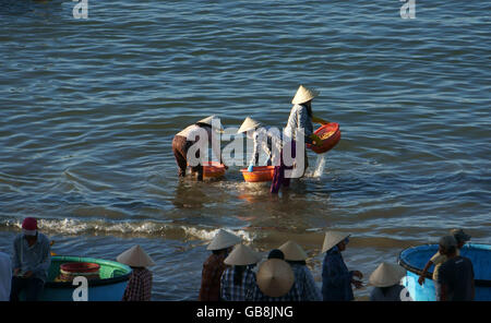 PHAN THIET, VIET NAM - FEB 3: Menschen reinigen Meeresfrüchte mit Wasser am Strand von Phan Thiet, Vietnam am 3. Februar 2013 Stockfoto