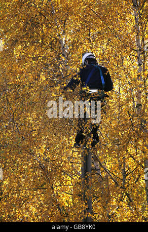 Herbst-Wetter Stockfoto