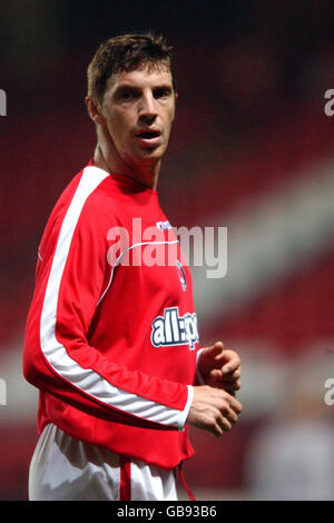 Fußball - FA Premier Reserve League South - Charlton Athletic gegen Chelsea. Andy Hunt, Charlton Athletic Stockfoto