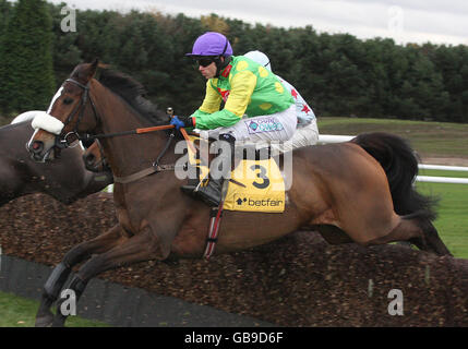 Kauto Star und Jockey Sam Thomas springen in den frühen Stadien der Betfair Steeplechase während der Northwest Masters Betfair Chase im Haydock Park, Merseyside, mit gutem Stil. Stockfoto