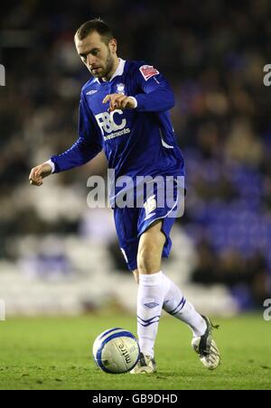 Fußball - Coca-Cola Football Championship - Birmingham City / Ipswich Town - St Andrews' Stadium. James McFadden, Birmingham City Stockfoto