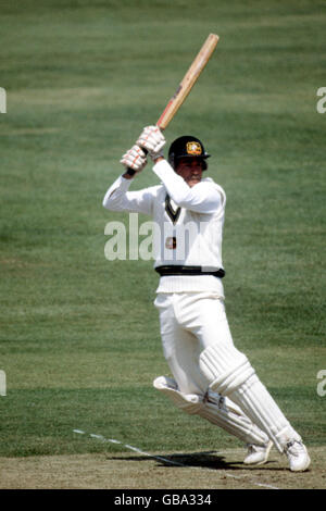 Cricket - Prudential World Cup - Gruppe B - Australien / Westindien. David Hookes, Australien Stockfoto