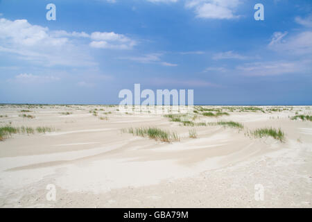 Dünen bilden: kleine, junge Dünen mit Dünengebieten Grass Stockfoto
