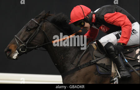 Gwanako und Ruby Walsh gewinnen den Godding Group Graduation Steeple Chase auf der Ascot Racecourse, Berkshire. Stockfoto