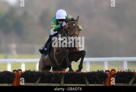 Binocular und Tony McCoy springen als Letzter auf die Ascot Racecourse, in Bekshire, und gewinnen Boylesports.com das International. Stockfoto