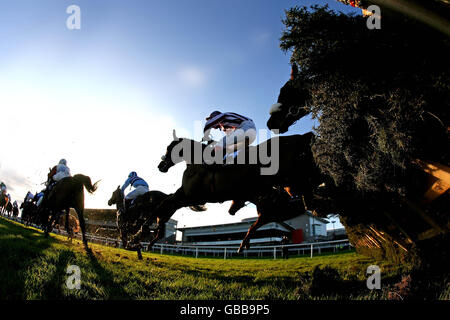 Pferderennen - Stephens Day und Durkan Day - Leopardstown Racecourse. Während des Stephens Day und des Durkan Day auf der Leopardstown Racecourse, Irland, wird die letzte Hürde in der Durkan New Homes Handicap-Hürde beseitigt. Stockfoto