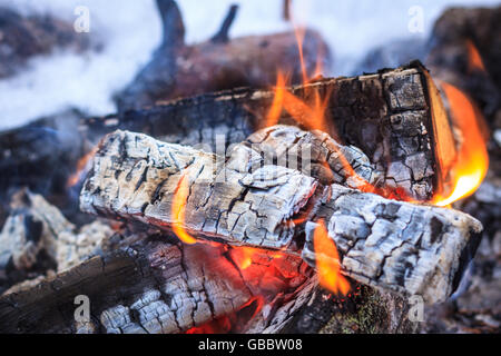 Brennholz Glut brennen mit orange Flammen um weiße Asche. Flachen DOF Stockfoto