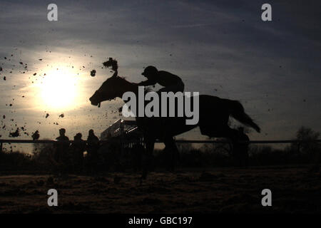 Pferderennen - Southwell Racecourse. Action von der Rennstrecke Southwell bei Sonnenuntergang Stockfoto