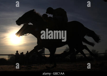 Pferderennen - Southwell Racecourse. Action von der Rennstrecke Southwell bei Sonnenuntergang Stockfoto