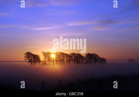 Die Sonne geht durch den Nebel über frostbedeckten Feldern bei Wotton-under-Edge in Gloucestershire auf. Stockfoto