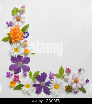 Rahmen der verschiedenen Blumen, Isolated on White Background Stockfoto