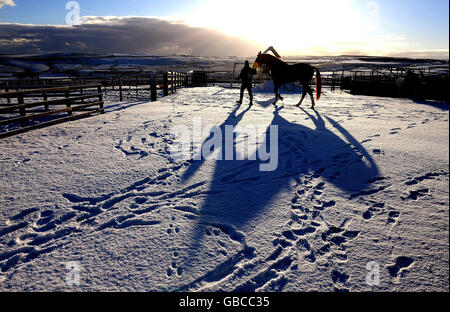 Ein Pferd wird von den Ställen durch den Schnee in Stanhope in der Grafschaft Durham nach dem nächtlichen Schnee geführt. Stockfoto