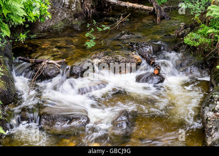 Bewegungsunschärfe eines kleinen schottischen Flusses in die Trossachs, als es über die alten Felsen Kaskaden, wie es unten ein Loch unten fließt. Stockfoto