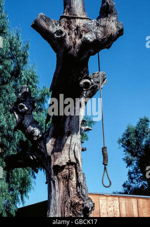 Eine Schlinge Seil mit einem großen Slipknot ruht sich aus einer alten Eiche, die des Henkers Baum im alten Stadt Calabasas im Los Angeles County, Kalifornien, USA genannt wurde. Die jahrhundertealten Eiche starb in den 1960er Jahren aber es diente als ein historisches Wahrzeichen bis zum Umfallen während eines Sturms im Jahr 1995. Diese Schlinge wurde im Jahr 1975 aufgereiht; niemand erinnert sich ob gab es überhaupt Krawatte Parteien (Tapeten) in Calabasas. Fotografiert im Jahr 1982. Stockfoto