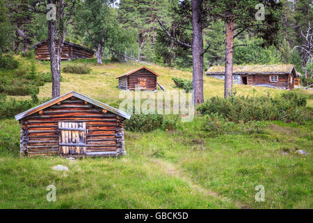 Eine Gruppe von Blockhäuser, Holz Shielings, auf einer Alm in der Nähe von Femunden, Hedmark, Norwegen. Stockfoto