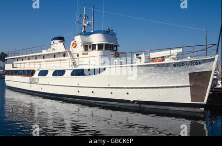 Berühmte Hollywood-Schauspieler John Wayne besaß einmal dieses Luxus-Yacht, die Wildgans, die derzeit eine für Miete Partyschiff mit Sitz in seiner ehemaligen Heimatstadt von Newport Beach, Kalifornien, USA. Der Herzog, verbrachte wie Wayne genannt wurde, mehr als 1 Million Dollar Umwandlung ein US-Marine Minesweeper aus dem zweiten Weltkrieg in seine 136-Fuß (41,5 Meter) Sportboote im Jahr 1962. Wayne und seine Familie verwendet das beeindruckende Schiff für 17 Jahre bis zu seinem Tod im Alter von 72 Jahren. Brunch und Abendessen Kreuzfahrten betrieben Hornblower jetzt bieten jedem die Möglichkeit, auf dem historischen Schiff zu segeln. Stockfoto