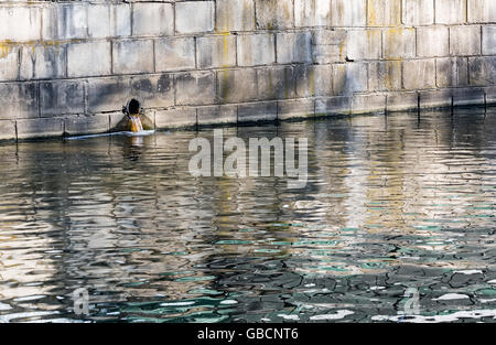 Schmutziges Wasser fließt aus einem Abflussrohr für Industrieabfälle Stockfoto