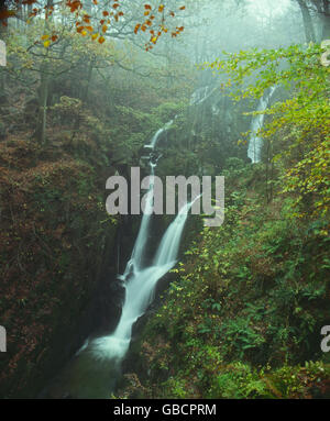 Stockghyll-Wasserfall mit blur Bewegung im Wasser, in der Nähe von Ambleside, Cumbria, England Stockfoto