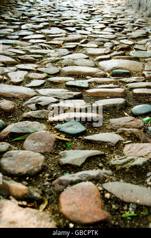 Straße mit Kopfsteinpflaster Stockfoto