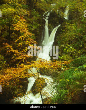 Stockghyll-Wasserfall mit unscharfen Wasser in der Nähe von Ambleside, Cumbria, England Stockfoto