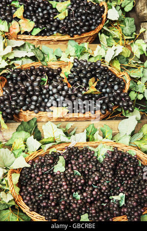 Verschiedene Sorten von Trauben in den Weidenkörben. Marktplatz. Gesunde Ernährung. Vertikale Zusammensetzung. Stockfoto