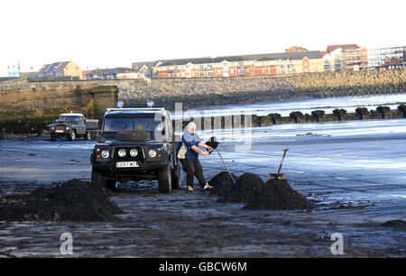 Seekohle wird von einem Strand in Hartlepool abgekratzt und auf einen LKW verladen. Mehrere Tonnen Kohle wird an den Stränden aus Nähten auf See abgeladen und bietet Einkommen für diejenigen, die bereit sind, den Elementen zu trotzen. Stockfoto