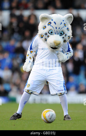 Fußball - Coca-Cola Football League One - Leeds United / Peterborough United - Elland Road. Leeds United Maskottchen Kop Kat Stockfoto