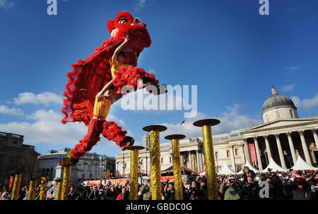 Chinesische Akrobaten in einem traditionellen Löwenkostüm treten im Trafalgar Square, London, als Teil der chinesischen Neujahrsfeiern auf, die im Jahr des Ochsen stattfinden. Stockfoto