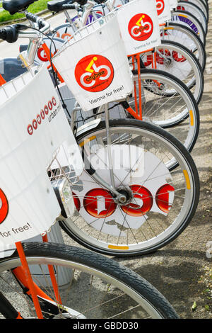 Reihe von Fahrrädern geparkt an Citybike Station in Wien, Österreich Stockfoto