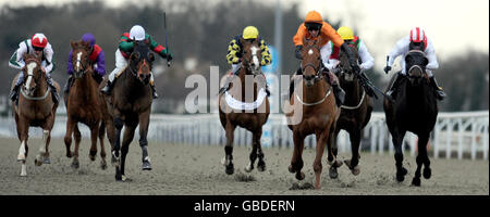 Pferderennen - Kempton Park Rennbahn Stockfoto