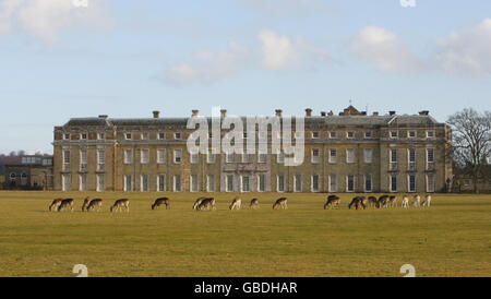 Stock Bild des Petworth House in Petworth, West Sussex, das vom National Trust betrieben wird. Stockfoto