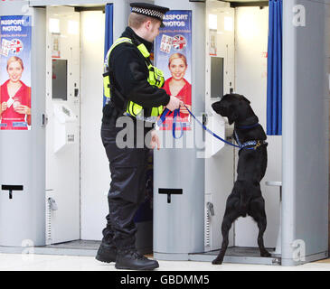 Der zweijährige schwarze Labrador, Bruce, ein Rettungshund aus Dogs Trust, Glasgow, wird von seinem Polizeihundhandler Constable Raymond Martin an der Central Station in Glasgow arbeiten, nachdem er sich als Sprengstoffsuchhund für die britische Transport Police qualifiziert hatte. Stockfoto