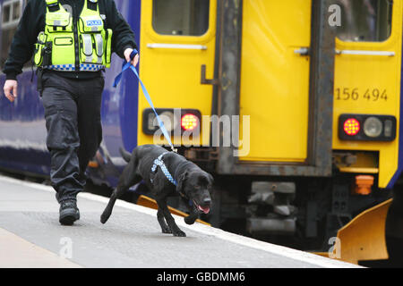 Der zweijährige schwarze Labrador, Bruce, ein Rettungshund aus Dogs Trust, Glasgow, wird von seinem Polizeihundhandler Constable Raymond Martin an der Central Station in Glasgow arbeiten, nachdem er sich als Sprengstoffsuchhund für die britische Transport Police qualifiziert hatte. Stockfoto
