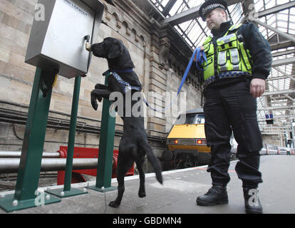 Der zweijährige schwarze Labrador, Bruce, ein Rettungshund aus Dogs Trust, Glasgow, wird von seinem Polizeihundhandler Constable Raymond Martin an der Central Station in Glasgow arbeiten, nachdem er sich als Sprengstoffsuchhund für die britische Transport Police qualifiziert hatte. Stockfoto
