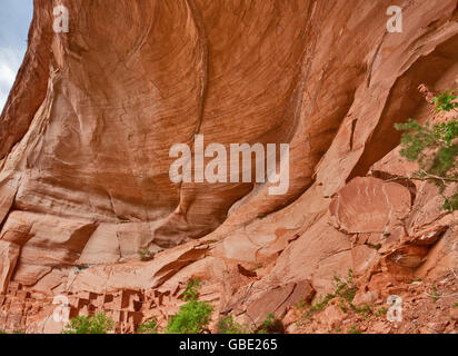 Betatakin Ruine im Tsegi Canyon, Navajo National Monument, Shonto Plateau, Arizona, USA Stockfoto