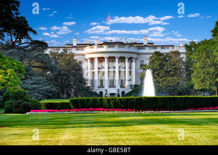 Das weiße Haus in Washington, D.C. Stockfoto