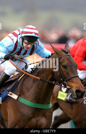 Best Mate riden von Jim Culloty auf dem Weg nach Der dritte Cheltenham Gold Cup Sieg in Folge Stockfoto