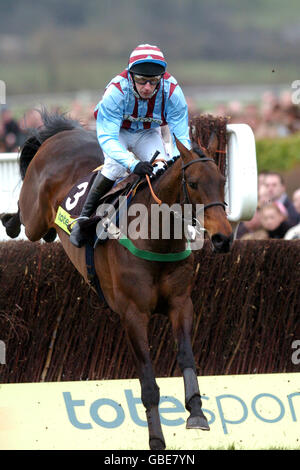 Pferderennen - Cheltenham Festival. Best Mate riden von Jim Culloty auf dem Weg zum dritten Cheltenham Gold Cup Sieg in Folge Stockfoto