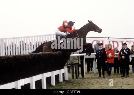 Pferderennen - Cheltenham Gold Cup Stockfoto