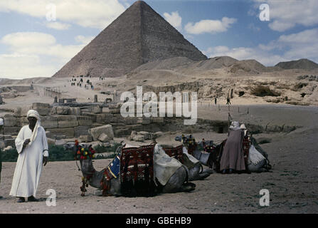 Geographie / Reisen, Ägypten, Gizah, lokal vor der Pyramide, warten mit Kamel für Touristen, 1956, Zusatz-Rechte-Clearences-nicht verfügbar Stockfoto