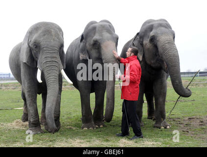 Elephant Sonia (links) mit ihrem Trainer Lars Holsher im Great British Circus in Newark. Stockfoto