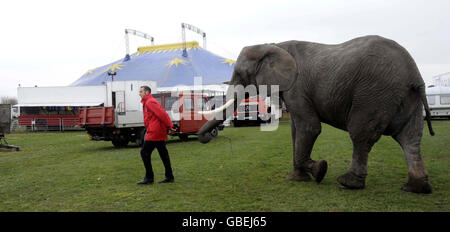 Elephant Sonia mit ihrem Trainer Lars Holsher im Great British Circus in Newark. Stockfoto