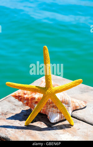 Nahaufnahme einer Seesterne und Muscheln auf einem verwitterten hölzernen Pier über dem Meer Stockfoto