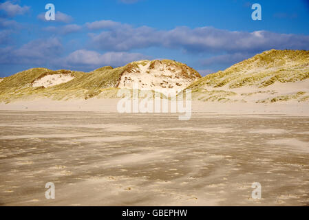 Strand, Dünen, Egmond Aan Zee, Egmond, Nordholland, Niederlande / Holland Stockfoto