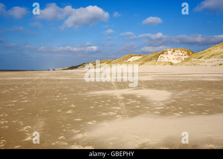 Strand, Dünen, Egmond Aan Zee, Egmond, Nordholland, Niederlande / Holland Stockfoto