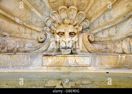 Löwenkopf, Brunnenfigur, Brunnen, Radda in Chianti, Provinz Siena, Toskana, Italien Stockfoto