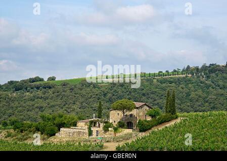 Landhaus, Weinberge, Landschaft, Radda in Chianti, Provinz Siena, Toskana, Italien Stockfoto