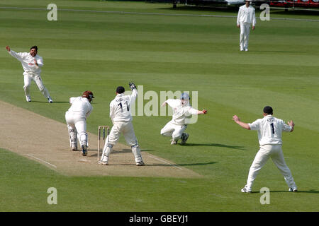 Sussex's Richard Montgomery fängt den Ball, aber das Dickicht Surreys Martin Bichnell ist nicht gegeben Stockfoto