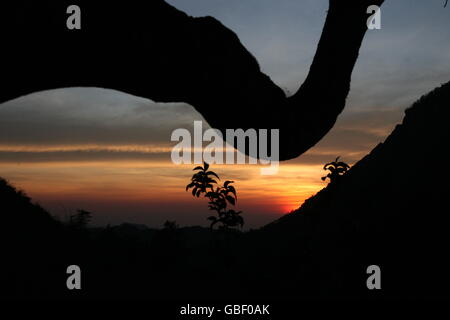 Die Landschaft mit nahe dem Dorf Moubisse im Süden von Osttimor in Südostasien. Stockfoto