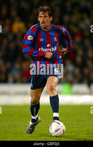 Fußball - Nationwide League Division One - Crystal Palace gegen Sunderland. Tony Popovic vom Crystal Palace Stockfoto